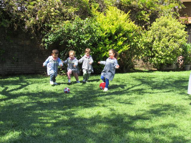 Programa de expresión corporal