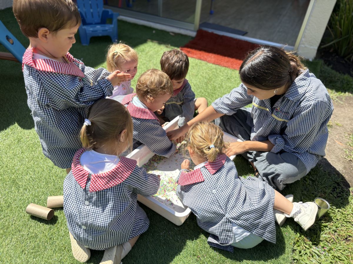 Programa de nociones lógico - matemáticas